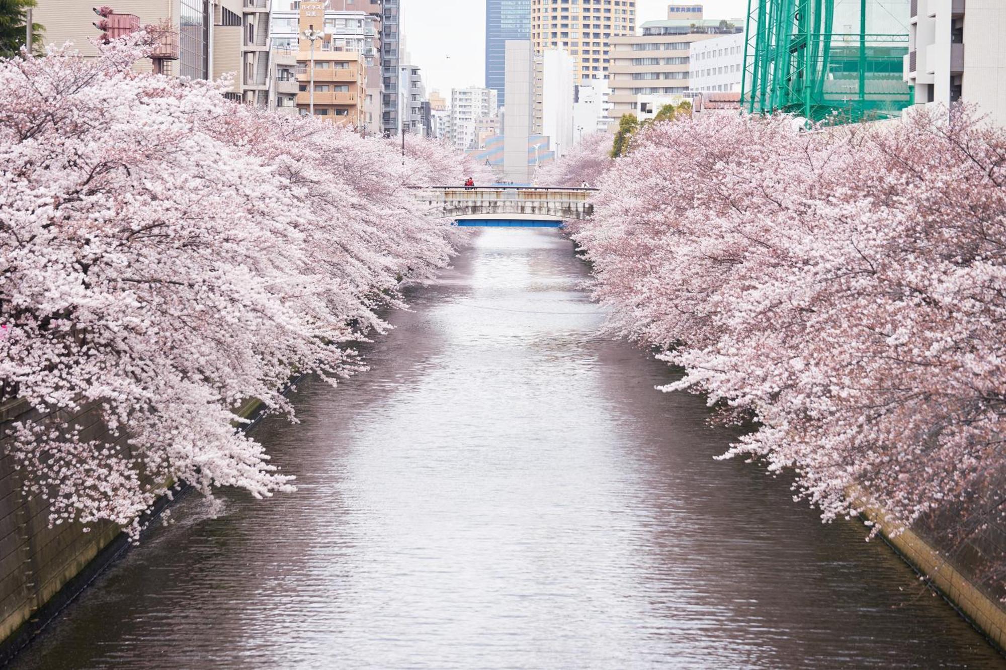 Hotel Gajoen Tokyo Ngoại thất bức ảnh