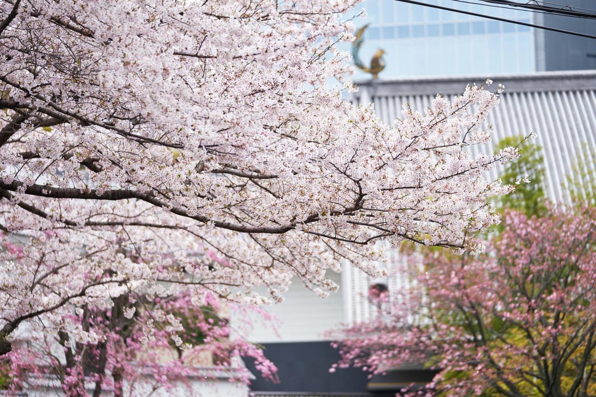 Hotel Gajoen Tokyo Ngoại thất bức ảnh